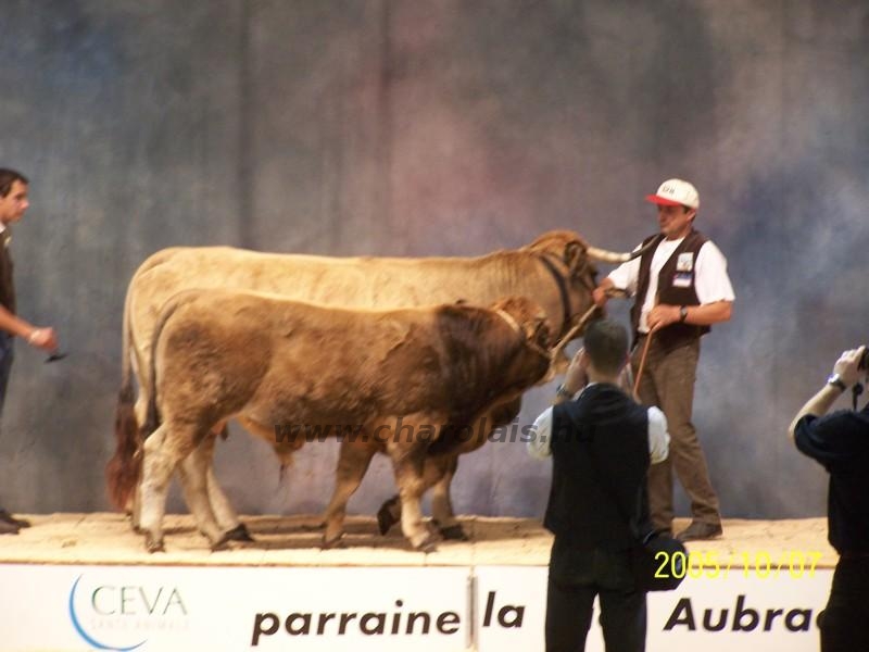 Clermont Ferrond 2005. október 