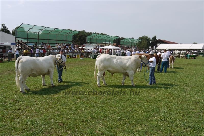 Farmer Expo 2009 - Képekben