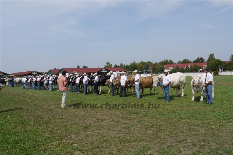 Farmer Expo 2009 - Képekben