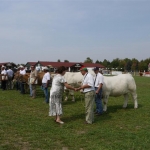 Farmer Expo 2009 - Képekben