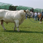 Farmer Expo 2009 - Képekben