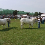 Farmer Expo 2009 - Képekben