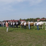 Farmer Expo 2009 - Képekben