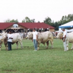 Farmer EXPO 2004