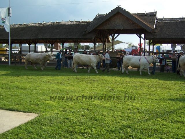 Hódmezõvásárhely 2010