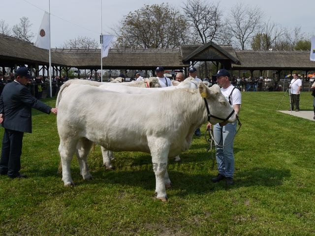 Hódmezõvásárhely 2010