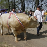 Hódmezővásárhely 2013