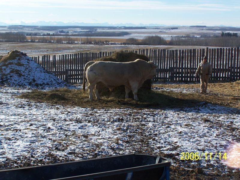 Kanada WCC 2006. nov. 