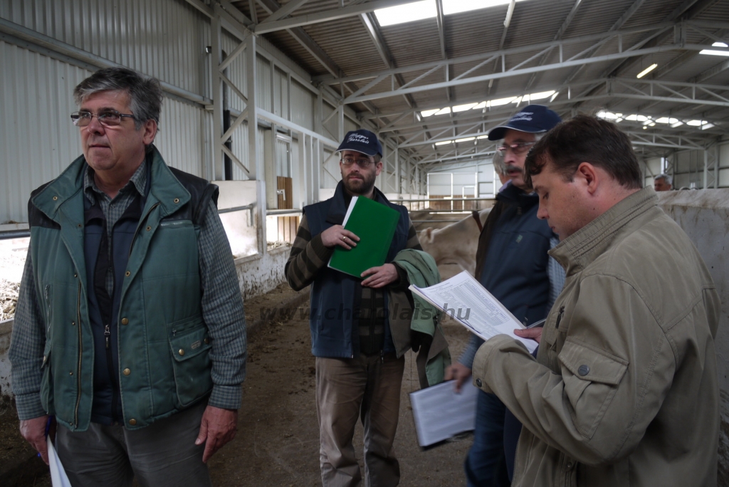 Szemle a Charolais Kft.-ben 2014.