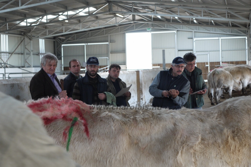 Szemle a Charolais Kft.-ben 2014.