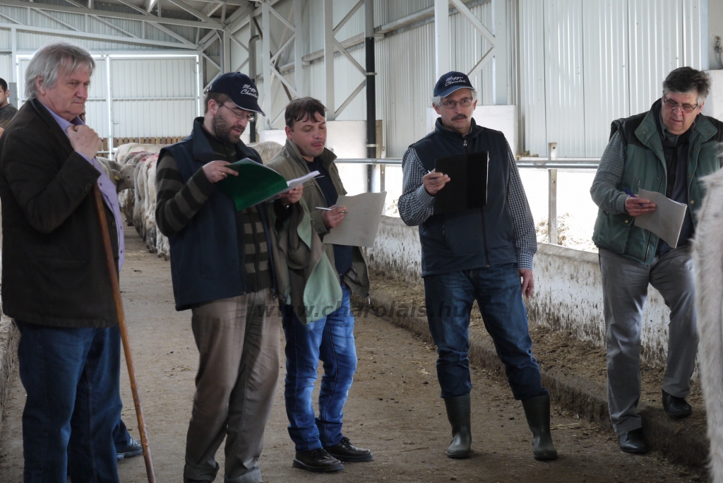 Szemle a Charolais Kft.-ben 2014.