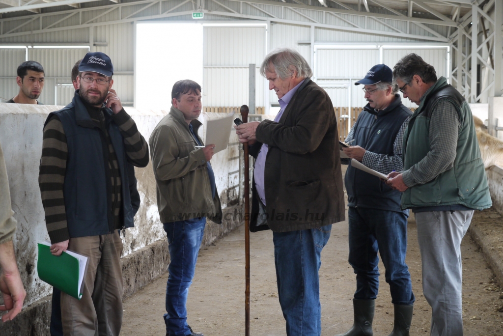 Szemle a Charolais Kft.-ben 2014.