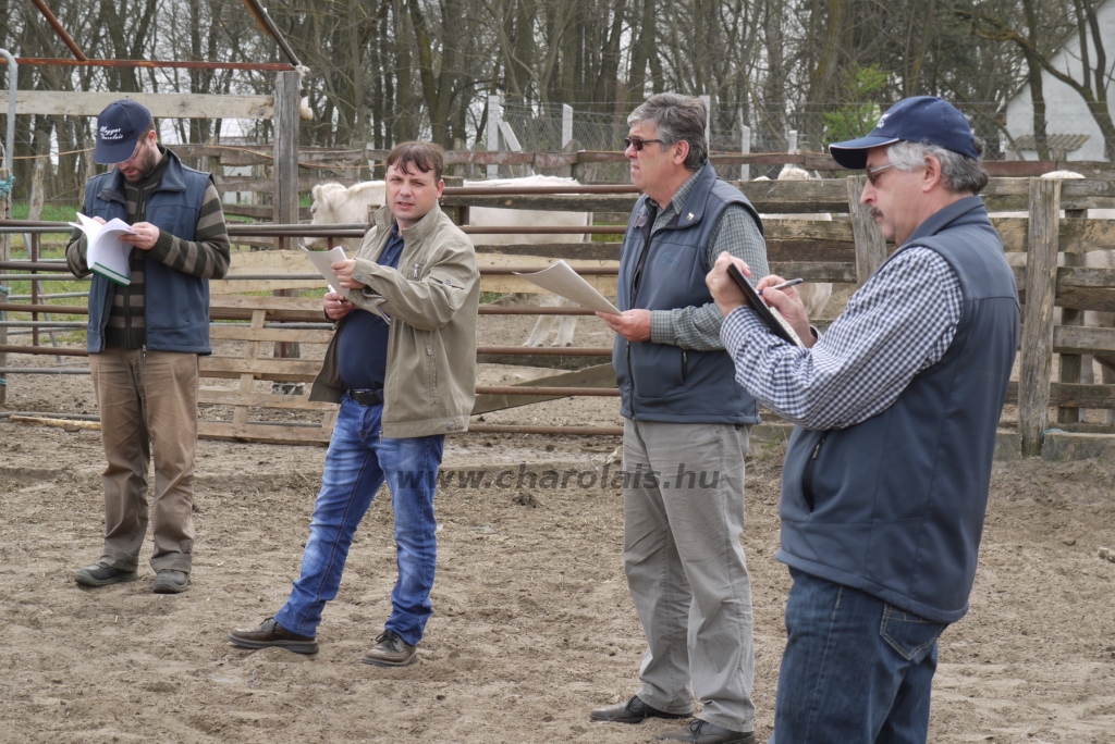 Szemle a Charolais Kft.-ben 2014.