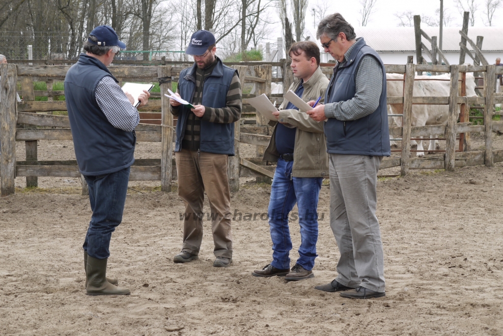 Szemle a Charolais Kft.-ben 2014.