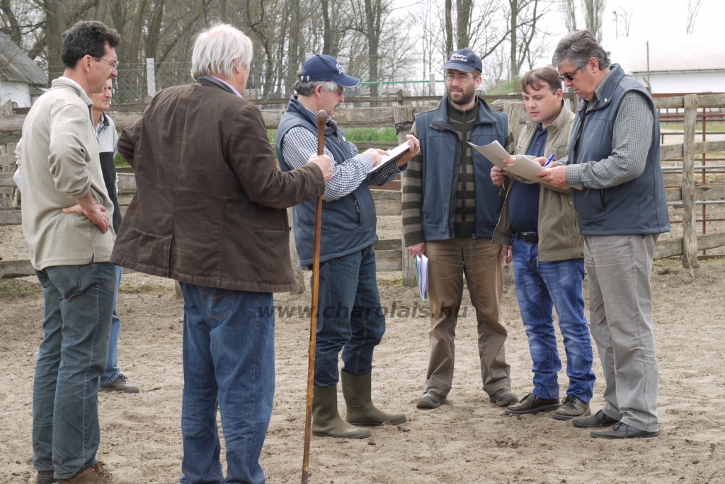 Szemle a Charolais Kft.-ben 2014.