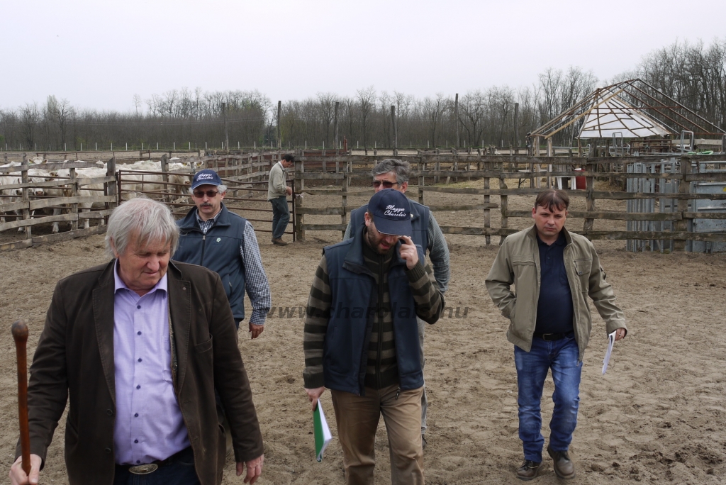 Szemle a Charolais Kft.-ben 2014.