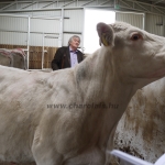 Szemle a Charolais Kft.-ben 2014.