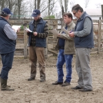 Szemle a Charolais Kft.-ben 2014.