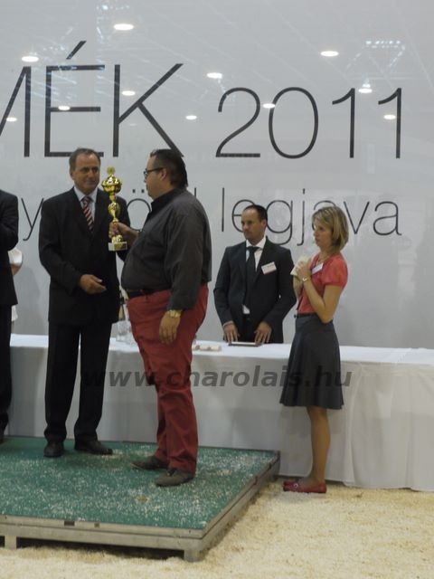 OMÉK 2011