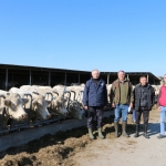 Charolais-Farm TTSZ 2020