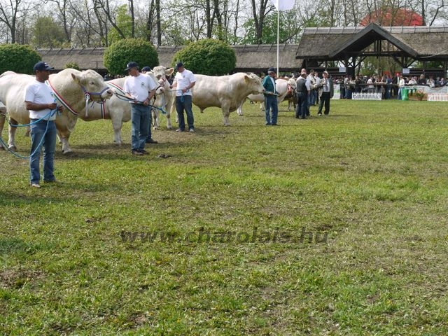 Hódmezõvásárhely 2010