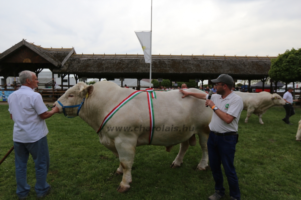 Hódmezővásárhely 2022