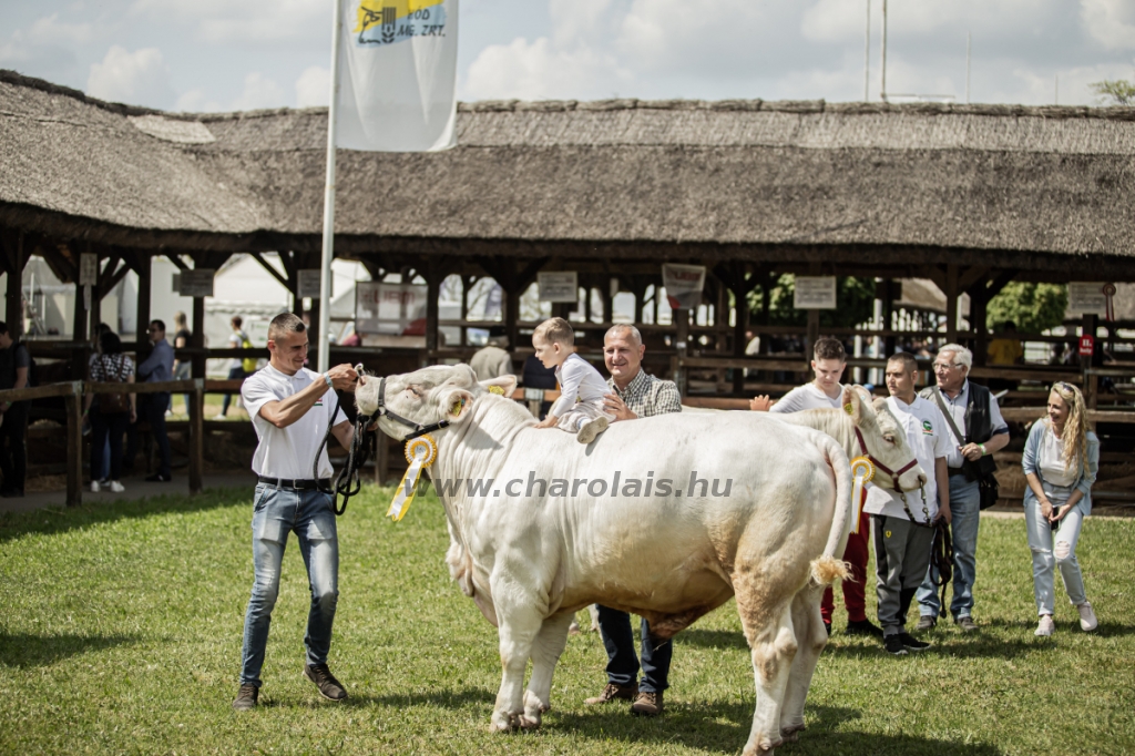 Hódmezővásárhely 2023