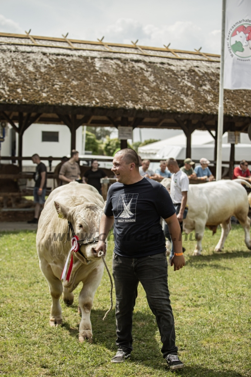 Hódmezővásárhely 2023