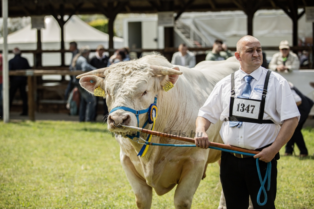 Hódmezővásárhely 2023