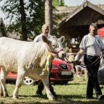 Hódmezővásárhely 2023