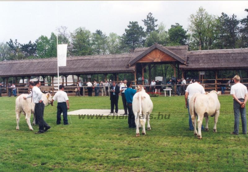 Hódmezõvásárhely 2004.