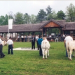 Hódmezõvásárhely 2004.